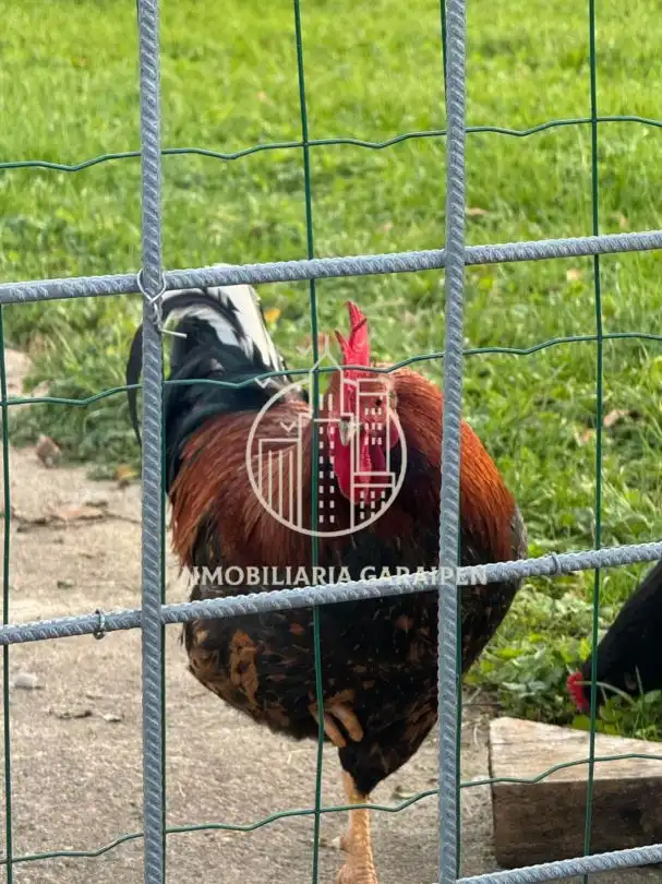 Vista exterior de Finca rústica en venda en Berastegi amb Balcó