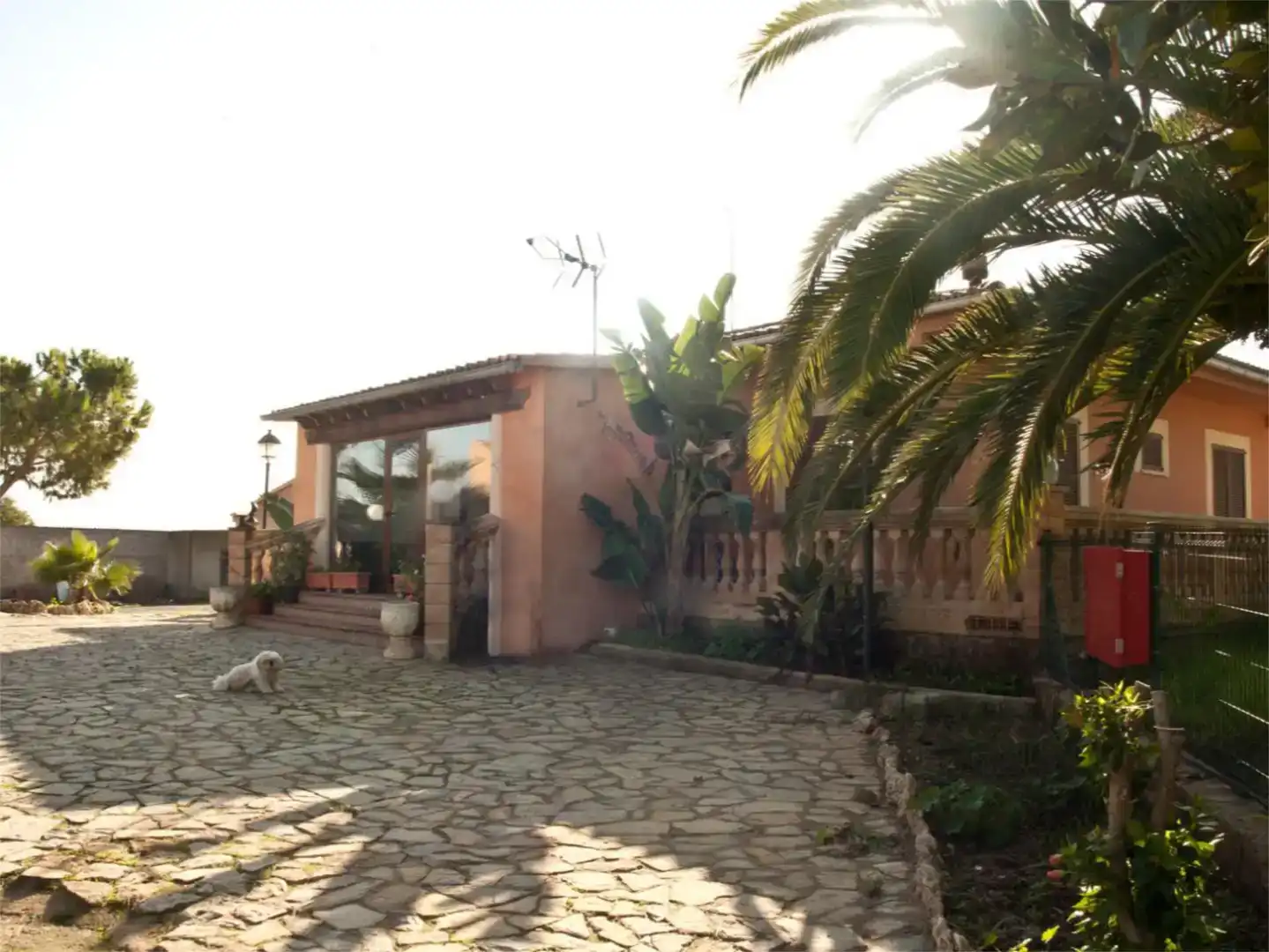 Jardí de Finca rústica en venda en  Palma de Mallorca amb Aire condicionat i Piscina