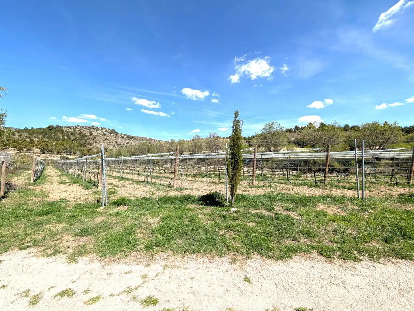 Country homes for sale in Moratalla  with Heating, Private garden and Furnished