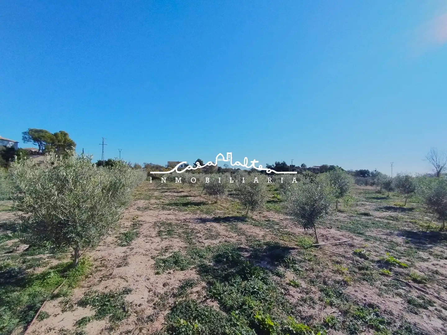 Rural land for sale in L'Olla, imagen 17