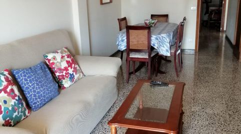 Foto 3 de Habitación en L'Olivera, Palma de Mallorca