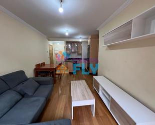 Sala d'estar de Apartament de lloguer en Ourense Capital  amb Calefacció, Parquet i Terrassa