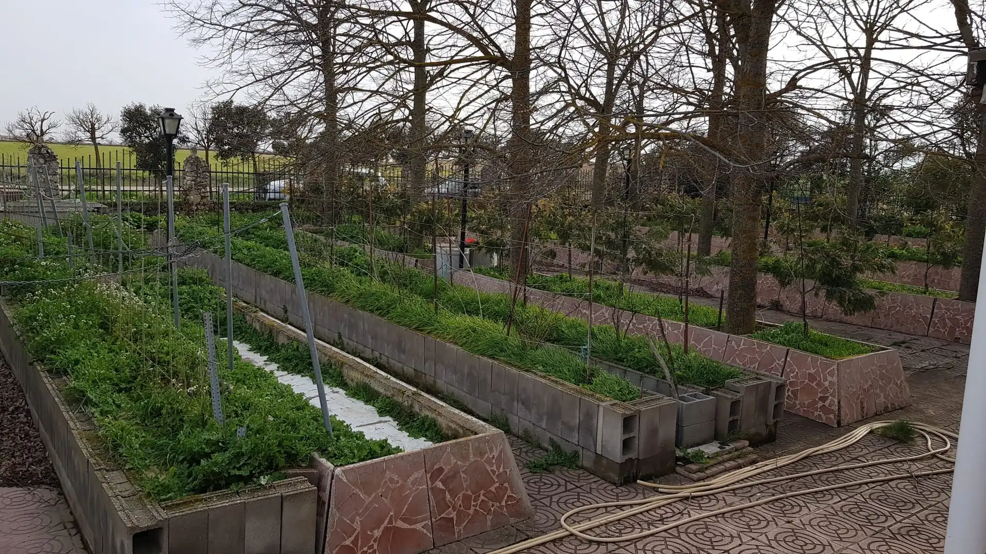 Garten von Country house zum Verkauf in Palencia mit Privatgarten, Terrasse und Abstellraum