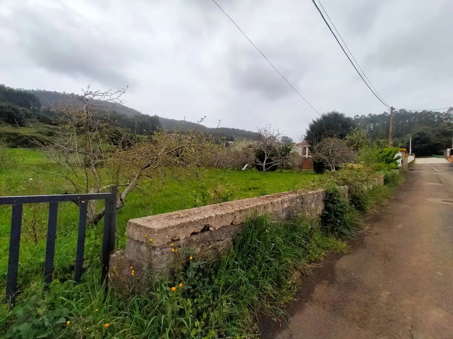 Terreni e lotti in vendita a Pravia