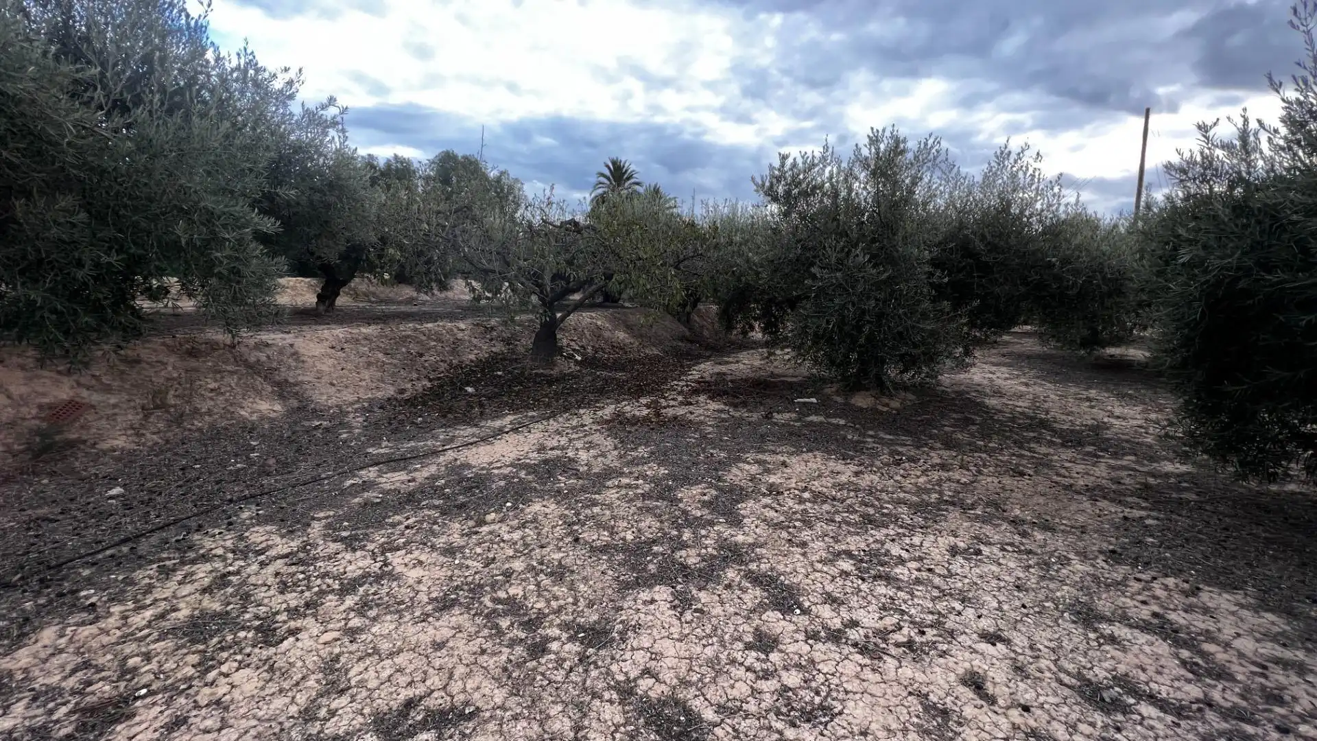 Land for sale in Cañada Hermosa