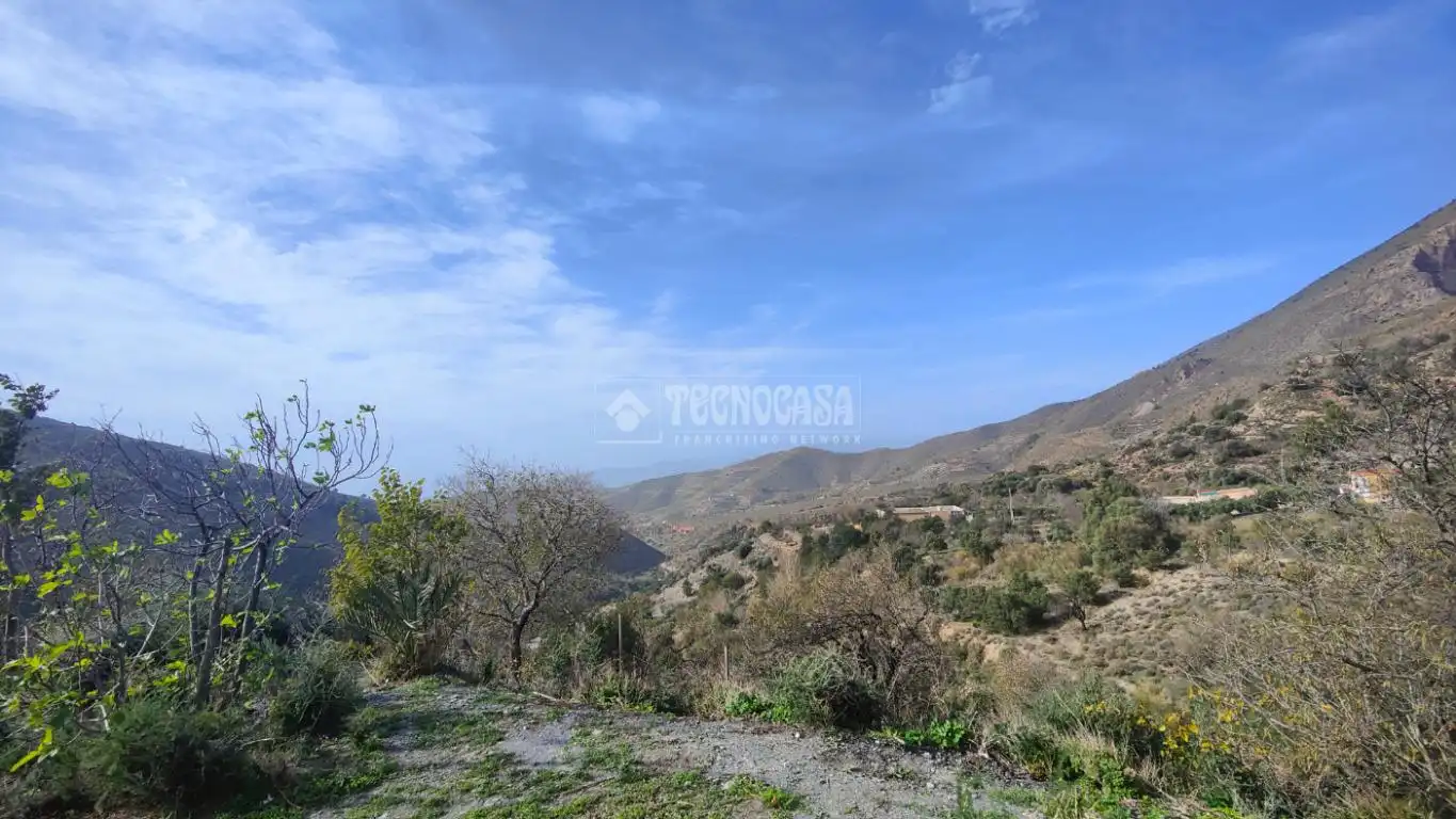Finca rústica en venta en Vélez de Benaudalla