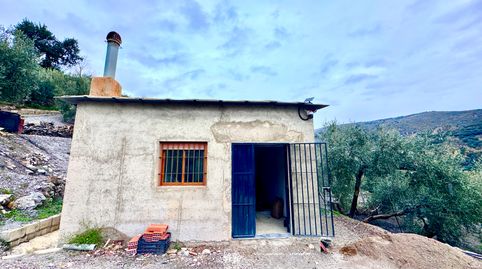 Finca de Olivos con Nave Agrícola en Picena, immagine 2