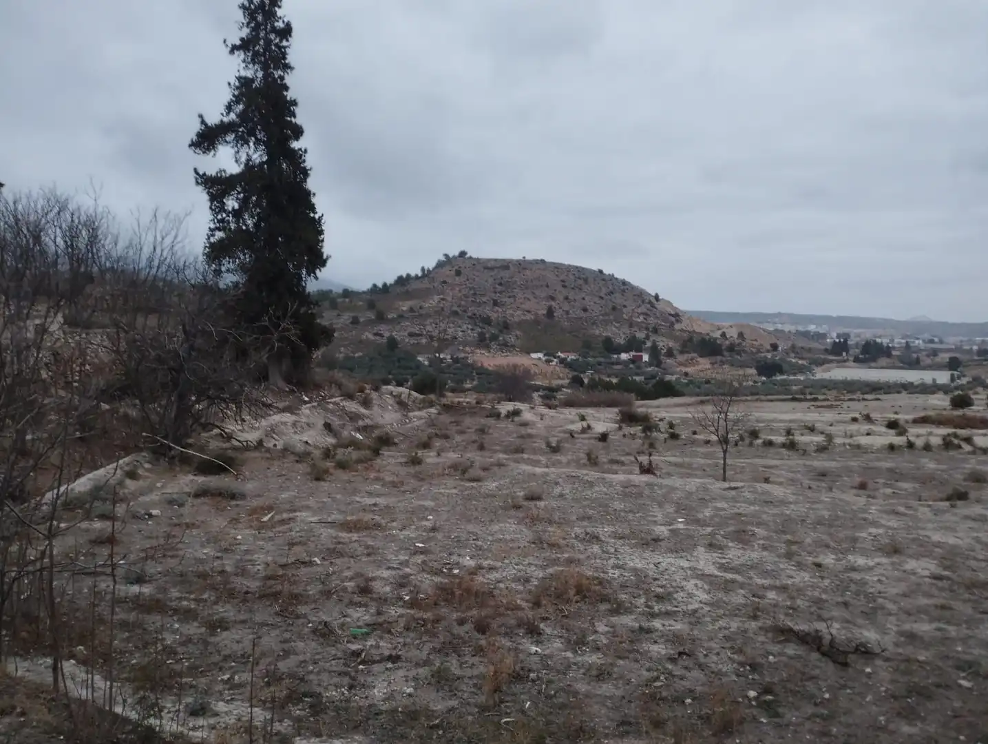 Residential land for sale in Partida Rincón De Egea - Hoya Redonda, imagen 11