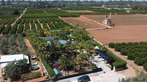 Photo 2 of House or chalet to rent in Plaza Poligono 71, Los Pinares - La Masia, Valencia