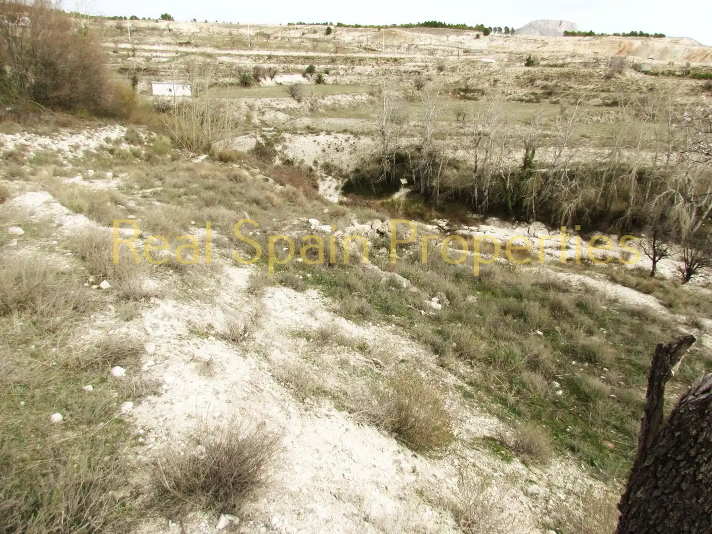 Terrenos y solares en venta en Vélez-Blanco, imagen 8