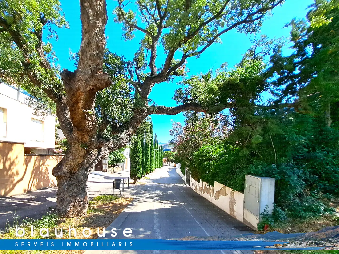 Exterior view of Residential for sale in Colera