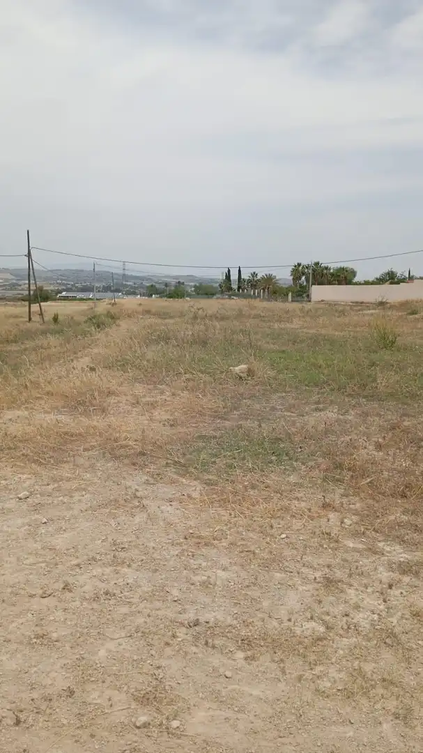 Terreny rústic en venda a Calle Polígono Buenavista I, imagen 4