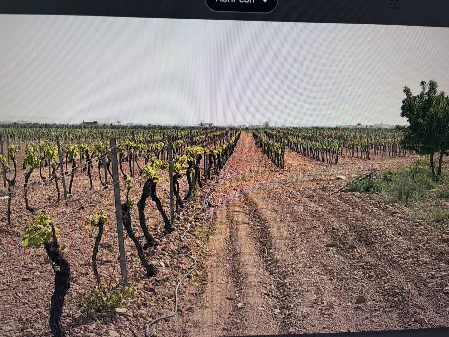 Terreno rústico en venta en N/A