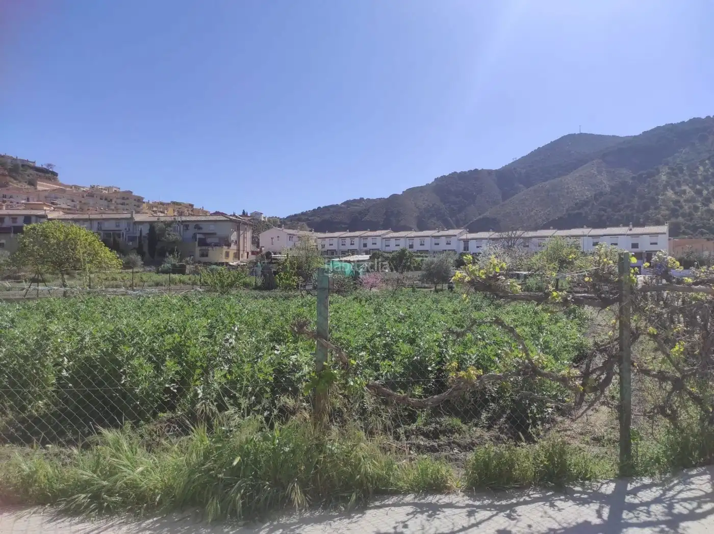 Terreni e lotti in vendita a Camino de las Fuentezuelas 8, imagen 5
