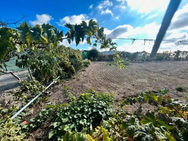 Land for sale in Granadilla de Abona