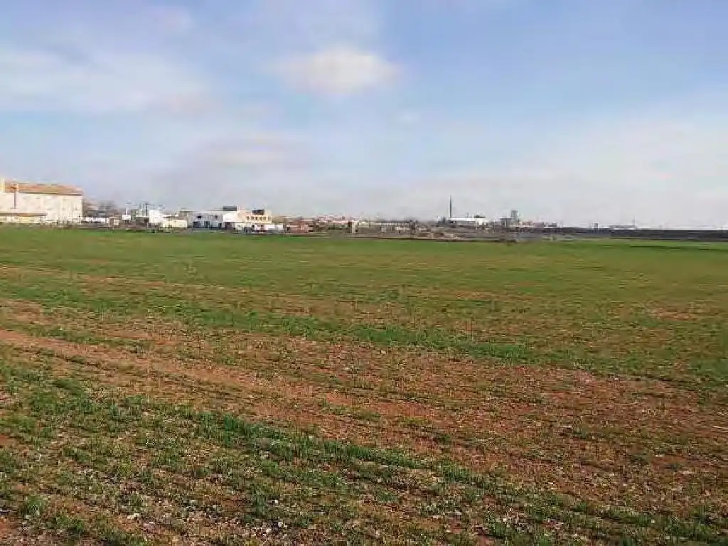 Terreno rústico en venta en Daimiel, imagen 7