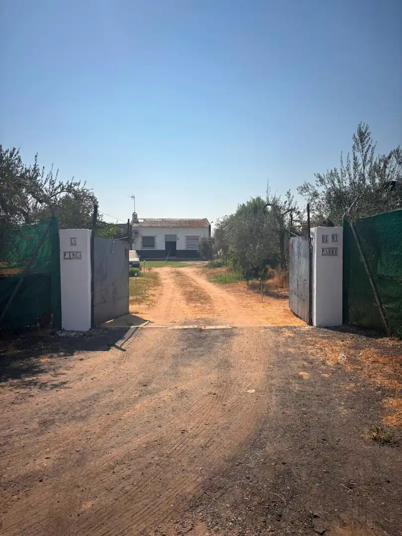 Finca rústica en venda en Huévar del Aljarafe amb Jardí privat, Traster i Piscina