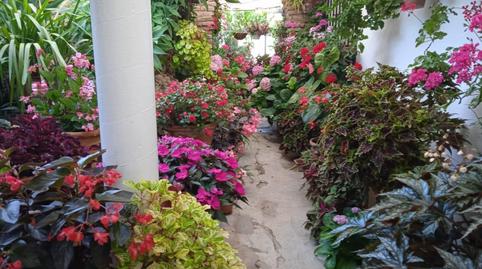 Foto 2 de Casa o xalet en venda a El Rosario - Ricmar, Málaga