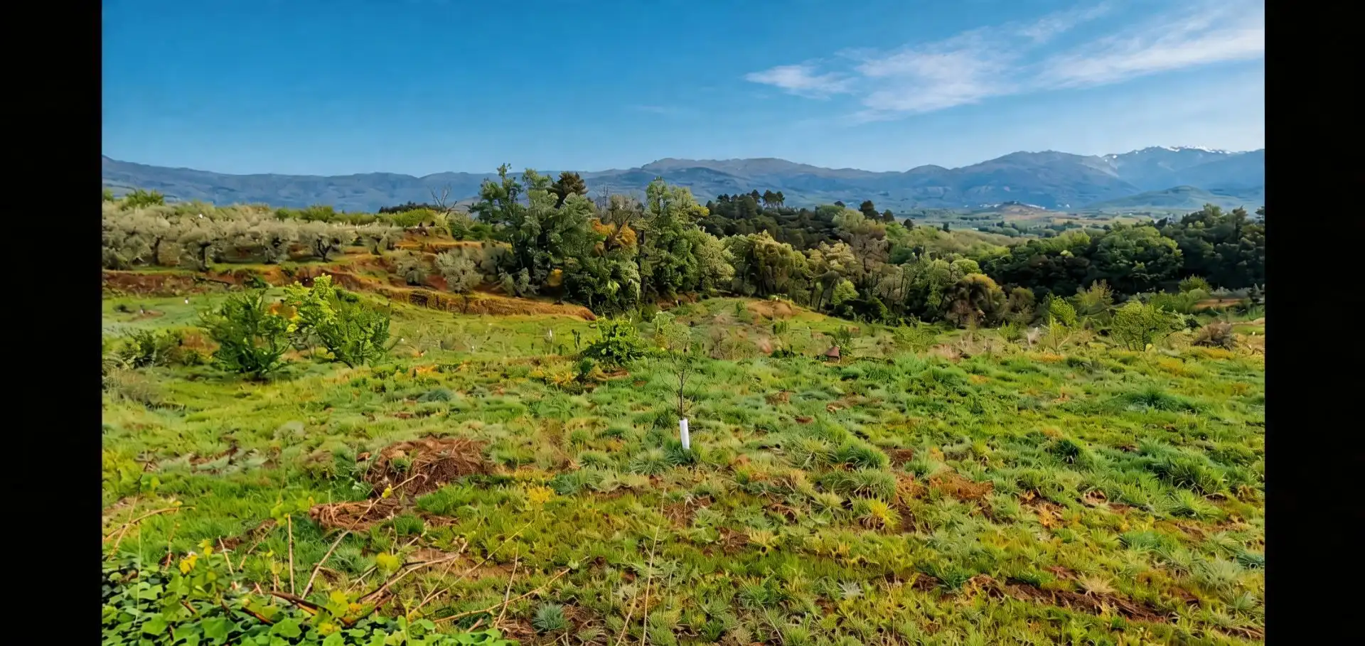Terreno en venta en Jaraíz de la Vera