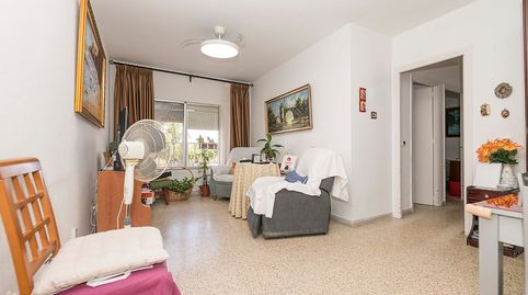 Foto 4 de Pis en venda a Barrio las Palmeras, Pago San José - Princi - Jerez, Jerez de la Frontera