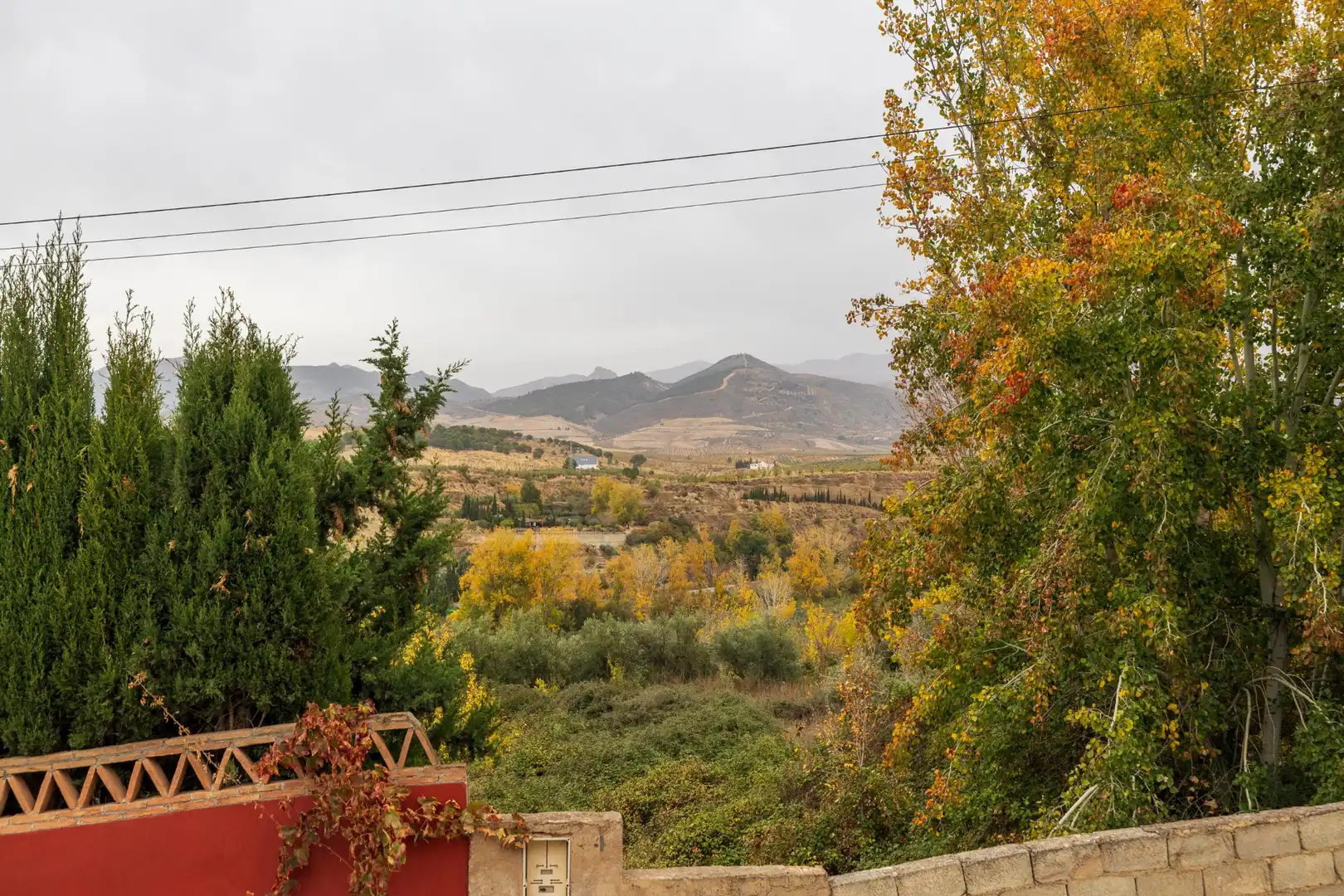 Vista exterior de Finca rústica en venta en Dílar con Jardín privado