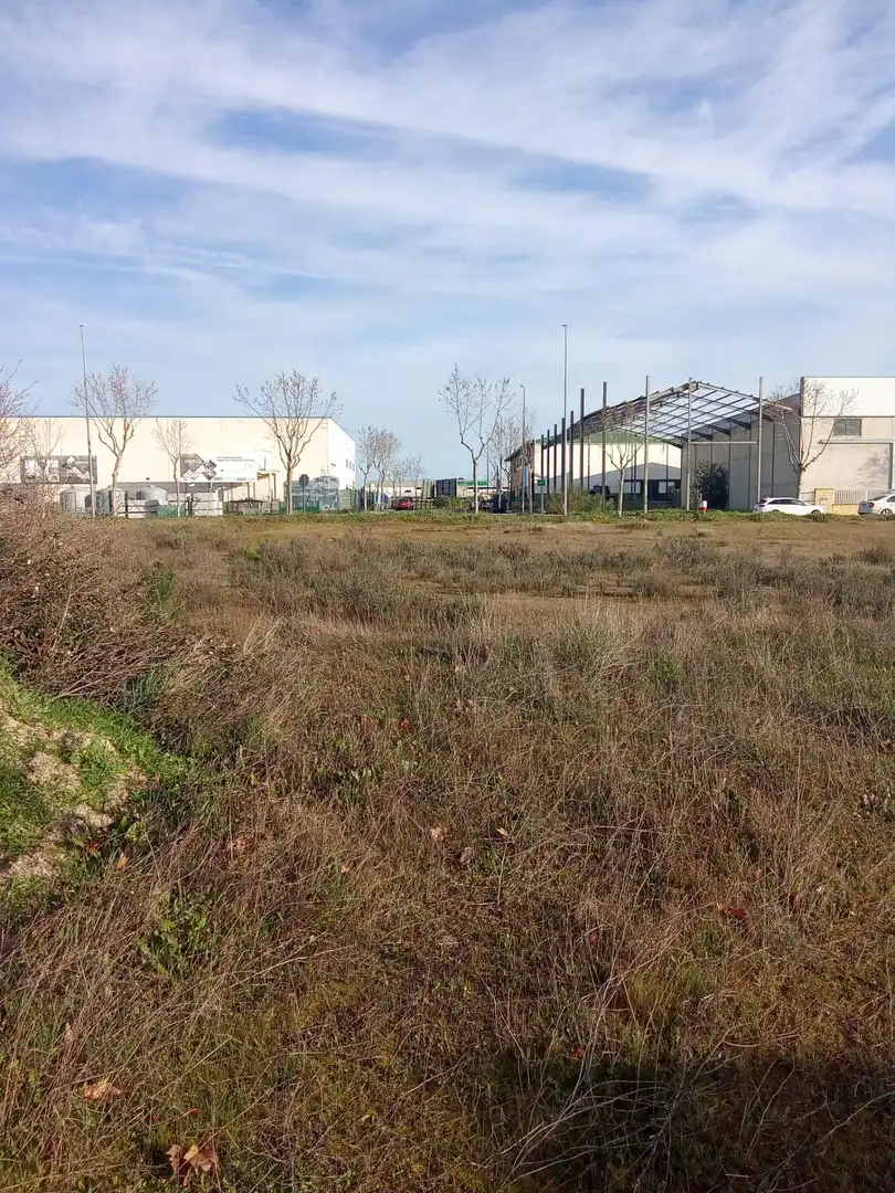 Terrenos y solares en venta en Malpartida de Cáceres, imagen 4