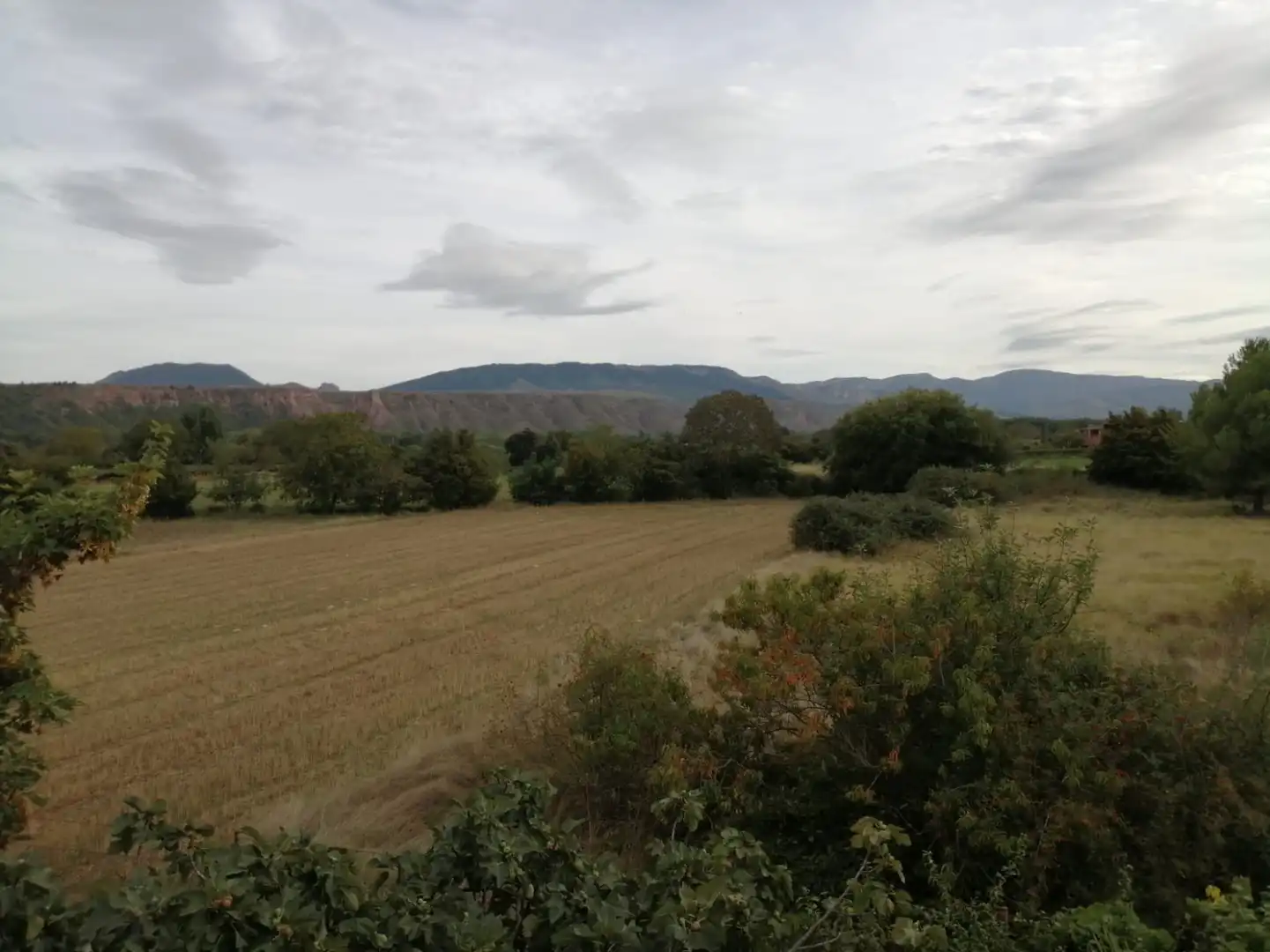 Rural land for sale in Lardero, imagen 13