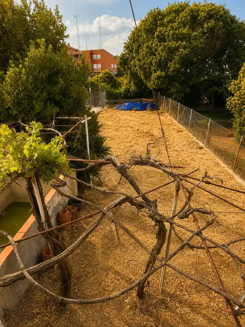 Jardí de Finca rústica en venda en Pallejà amb Jardí privat i Balcó