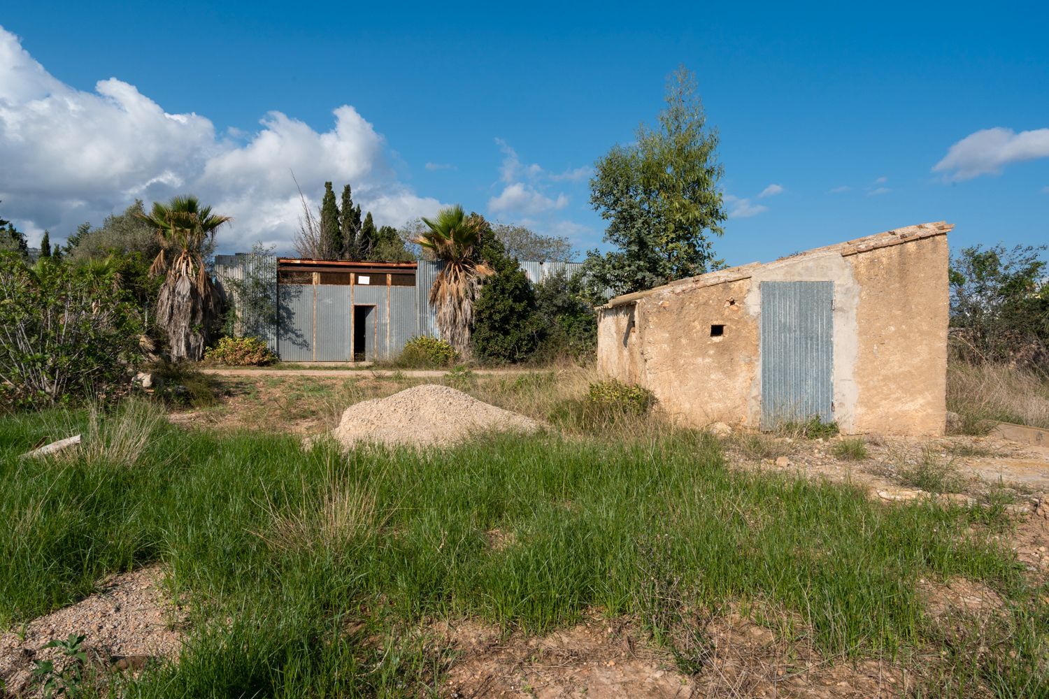 Land for sale in Amposta