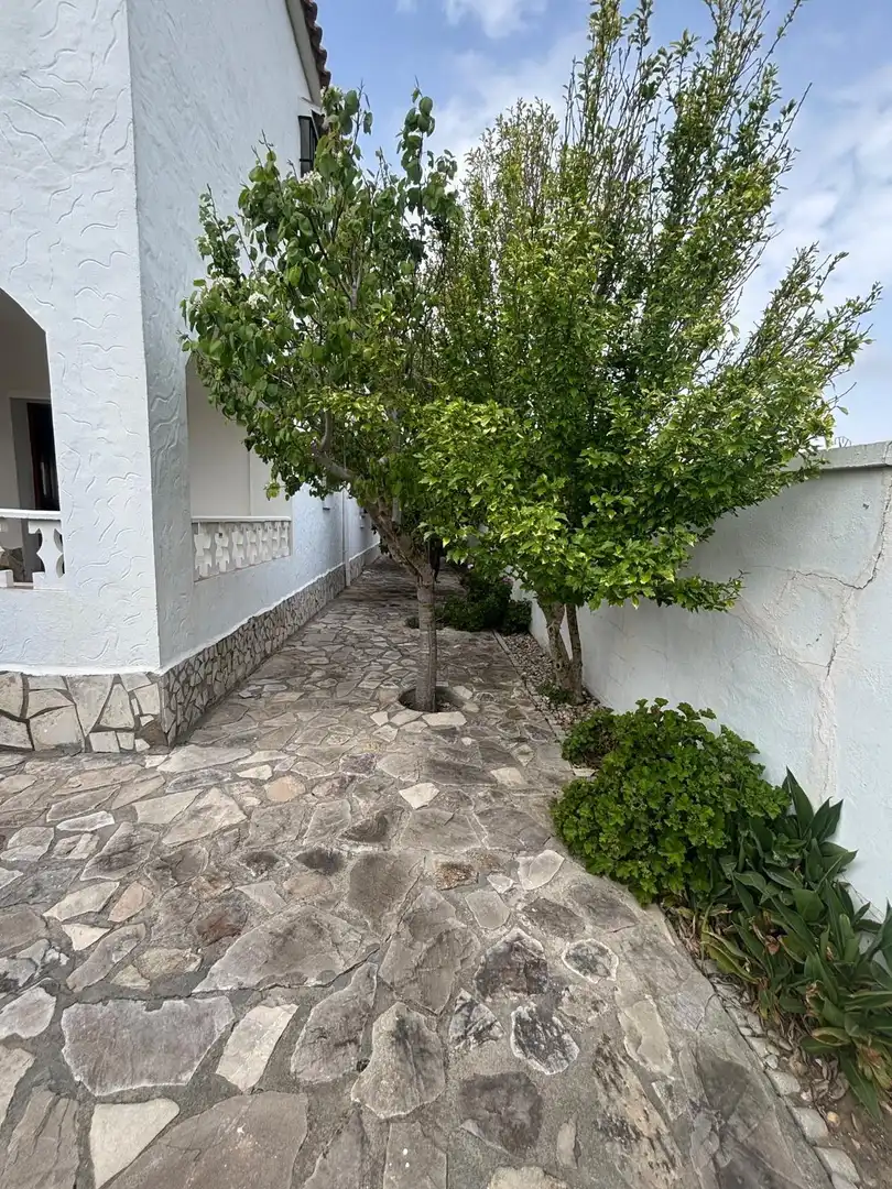 Finca rústica en venda en Barbate amb Jardí privat, Terrassa i Traster