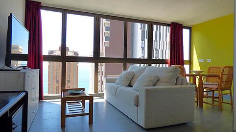 Photo 4 of Study for sale in Del Mediterráneo, Playa Levante, Alicante