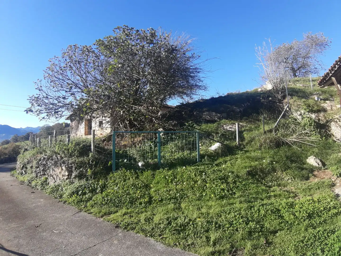 Casa adosada en venta en Cabranes
