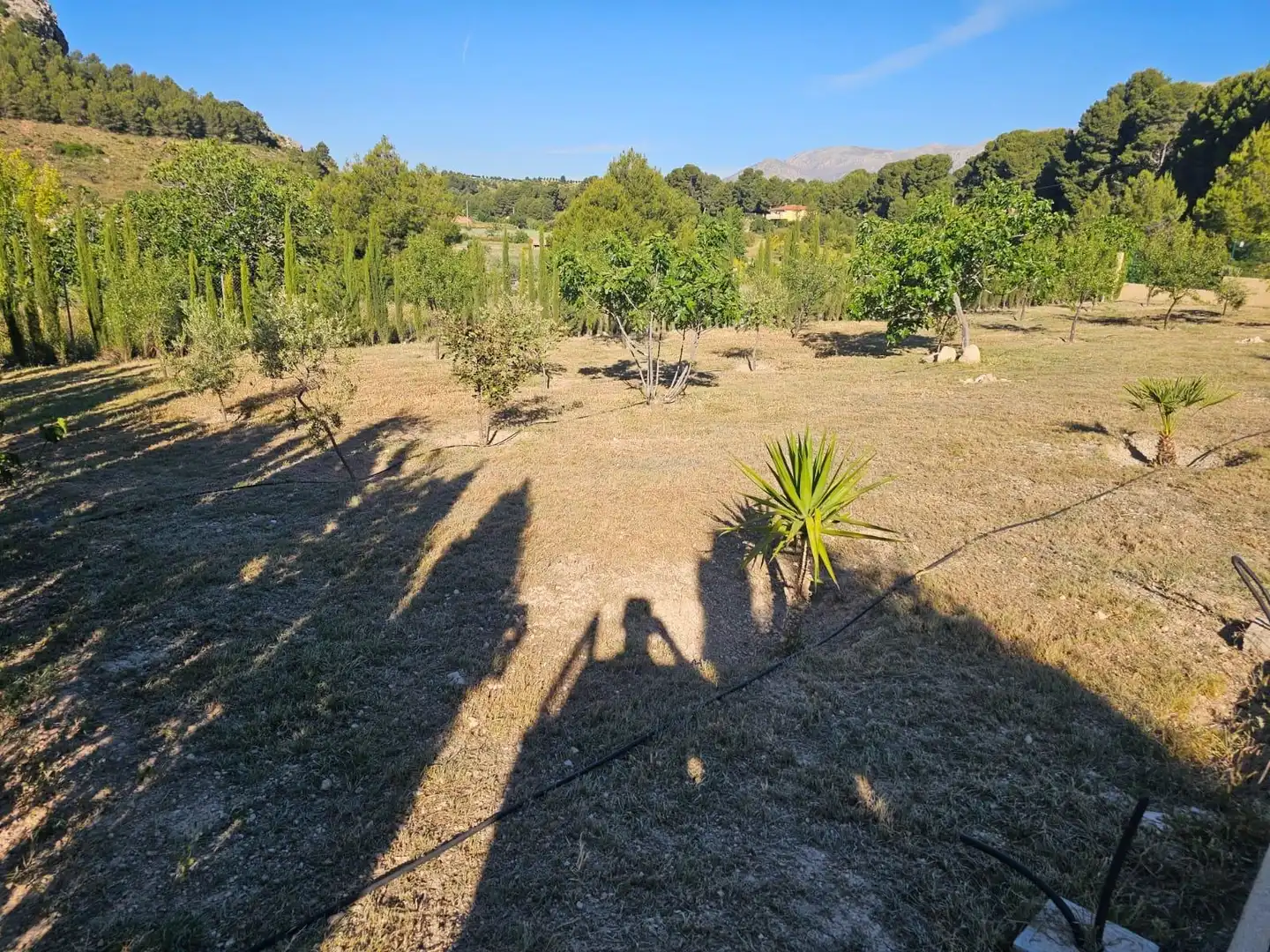 Finca rústica en venta en Vélez-Rubio con Terraza y Amueblado