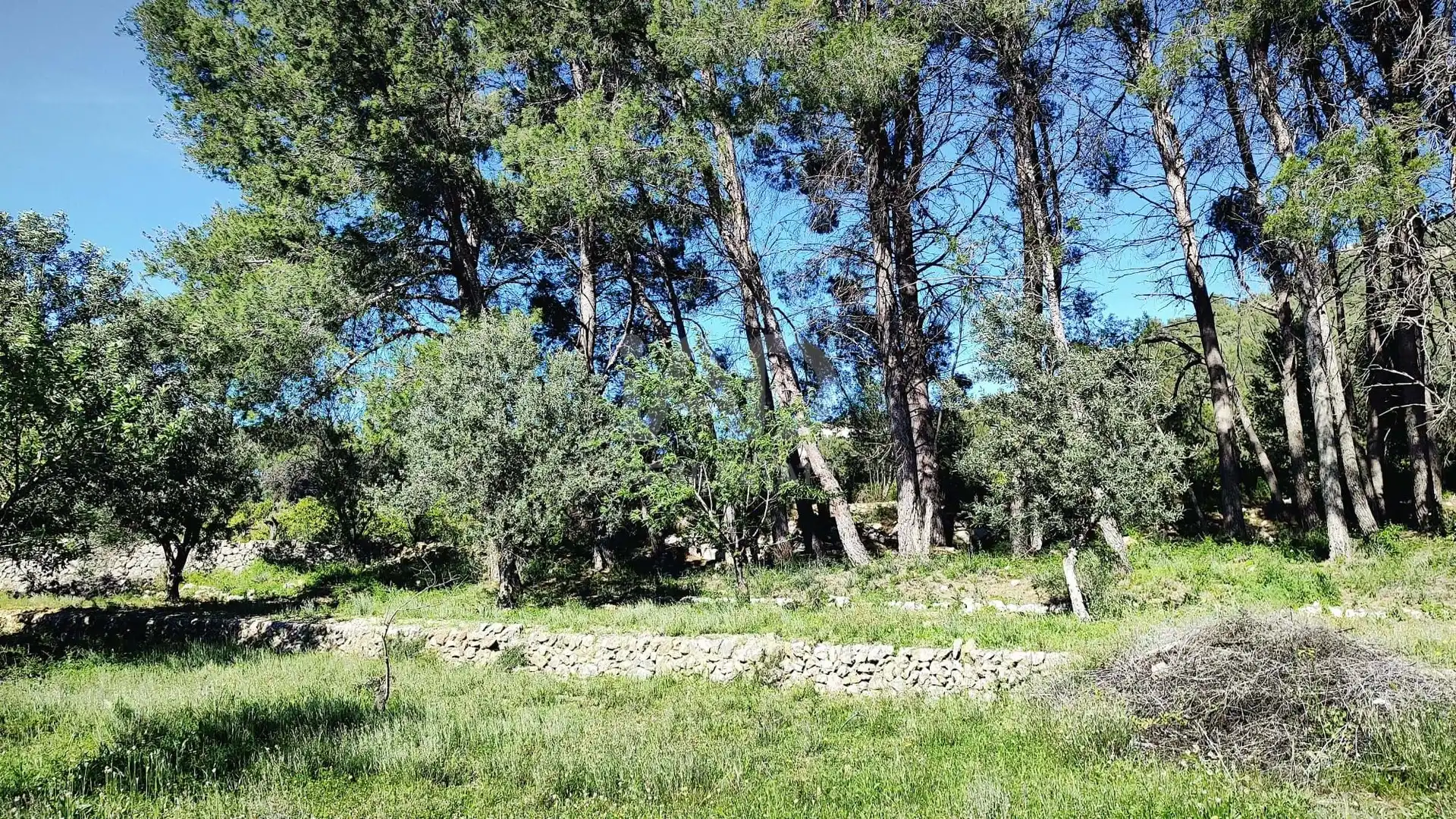 Residential for sale in Murla
