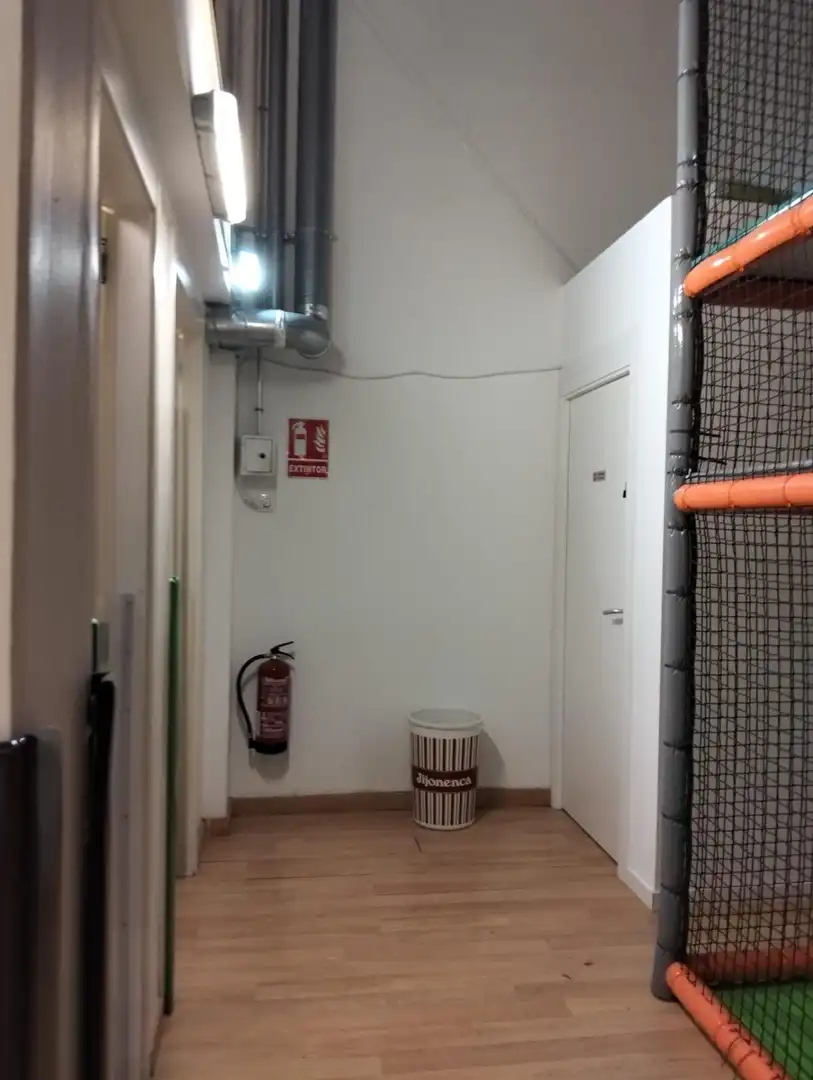 Local de alquiler en Centelles con Amueblado