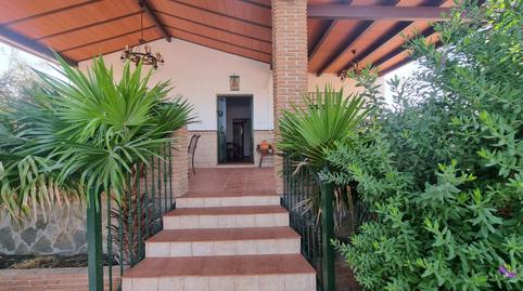 Foto 3 de Finca rústica de lloguer a Alquería - Torrealquería, Málaga