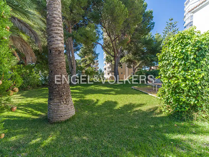 Exterior view of Houses for sale in El Campello  with Heating, Private garden and Terrace
