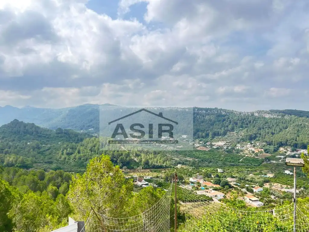 Casa o chalet en venta en Alzira con Terraza y Piscina