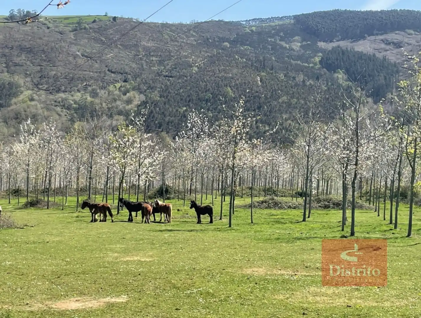 Casa o xalet en venda a Valdáliga - barrio la herrería, Valdáliga
