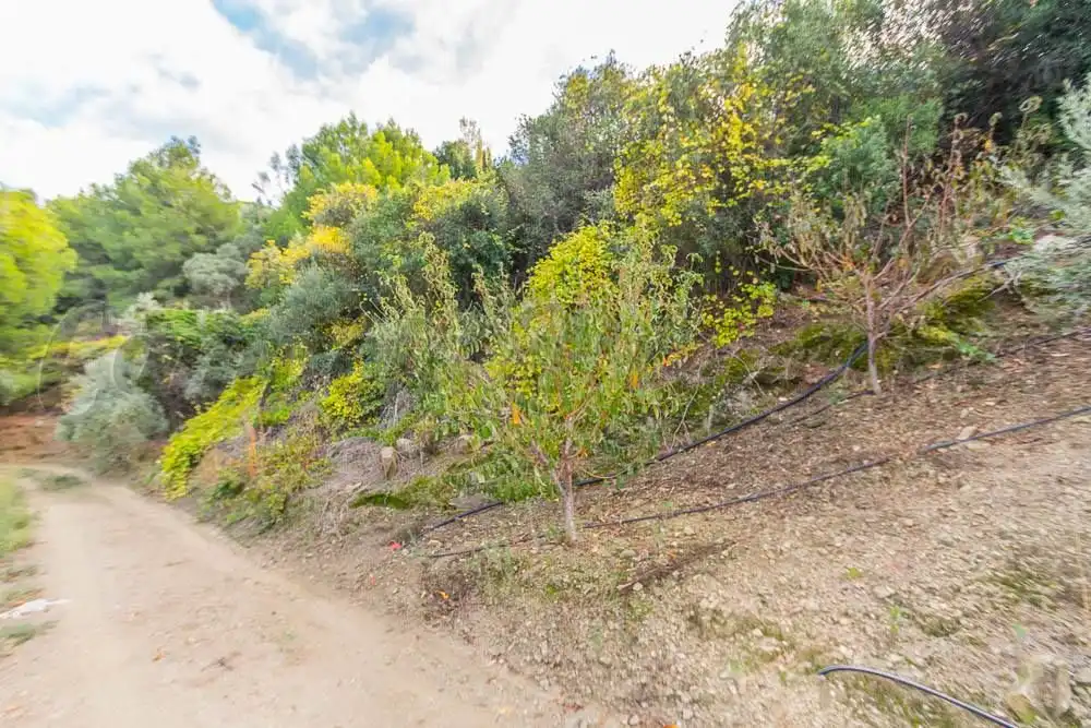 Rustikales Grundstück zum Verkauf in Torrox Pueblo, imagen 3
