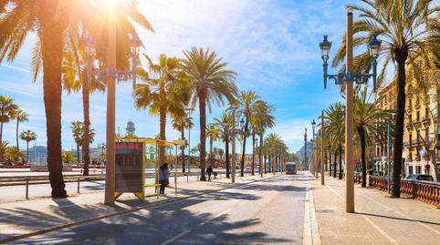 Photo 3 of Industrial buildings for sale in Creu de Barberà, Barcelona