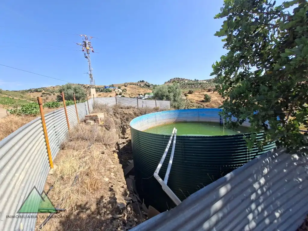 Piscina de Finca rústica en venta en Vélez-Málaga con Amueblado