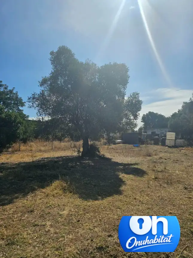 Terrenos y solares en venta en Gibraleón, imagen 17