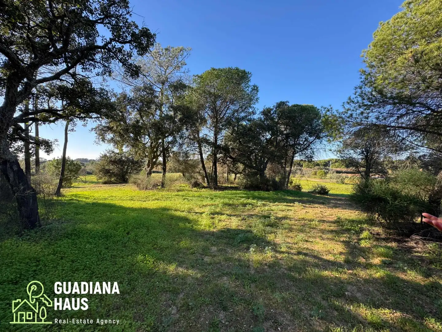 Finca rústica en venda en Villablanca