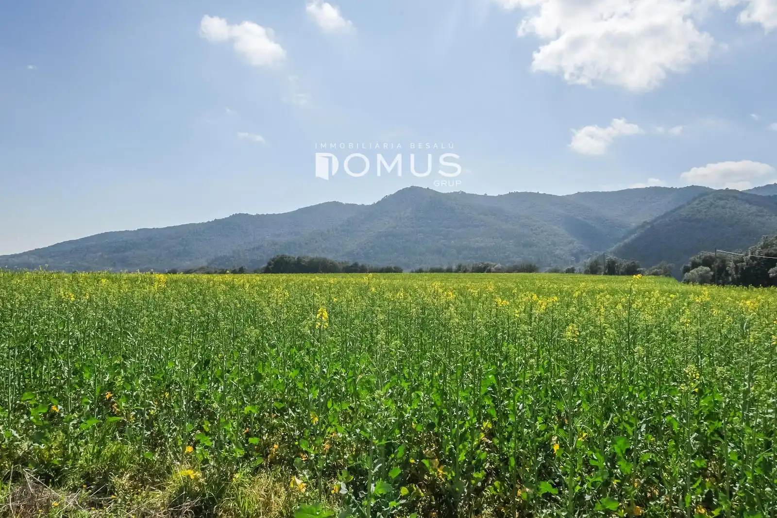 Finca rústica en venta en Besalú con Jardín privado