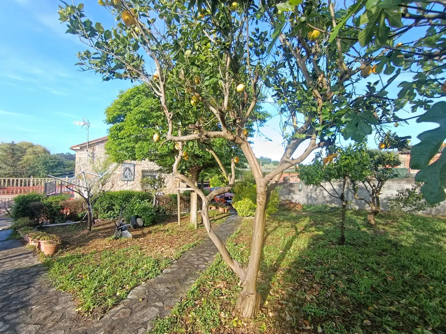 Jardí de Casa o xalet en venda en Cambados amb Calefacció, Terrassa i Traster