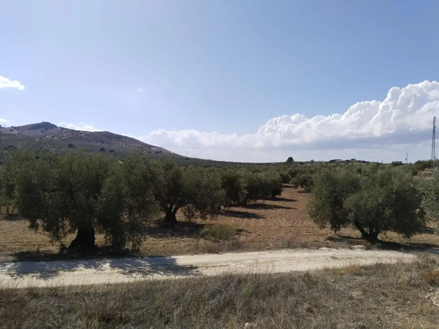 Terrenys i solars en venda a Centro, imagen 5