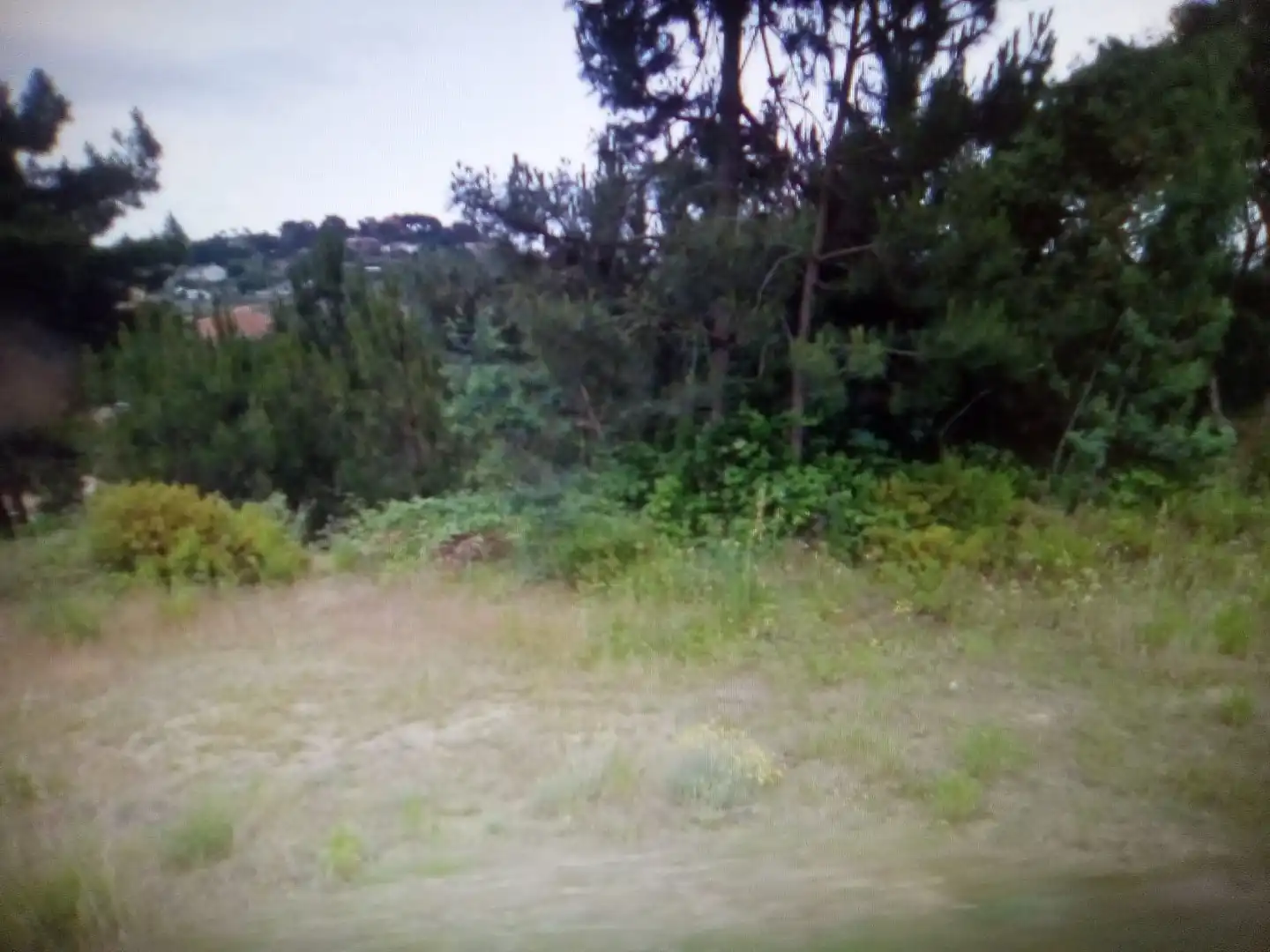 Residential land for sale in Calle Pantano 16, imagen 5