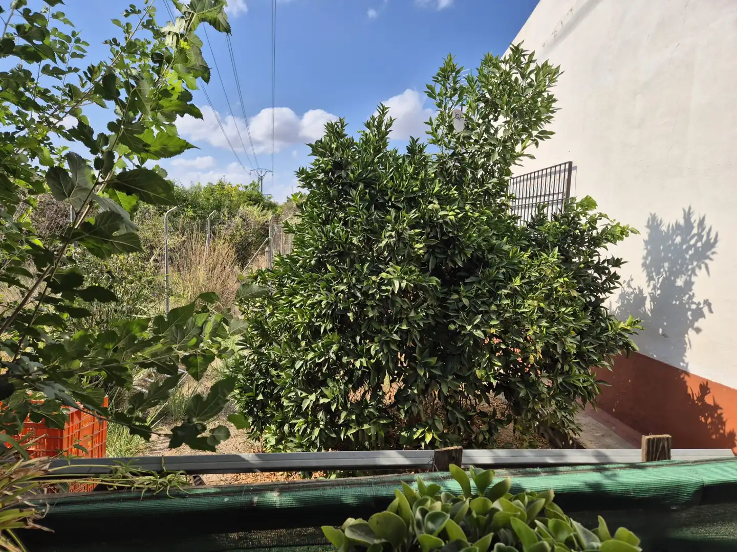 Country homes for sale in Murcia  with Air Conditioner, Private garden and Furnished