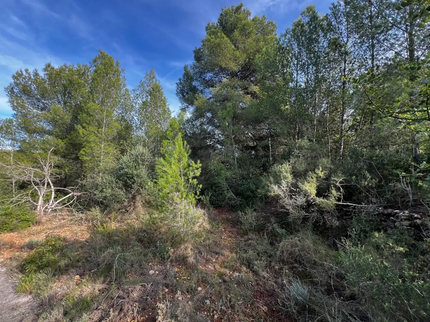 Residential for sale in Sant Joan de Moró